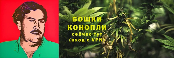 ешки Вяземский