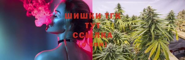молекула духа Горнозаводск